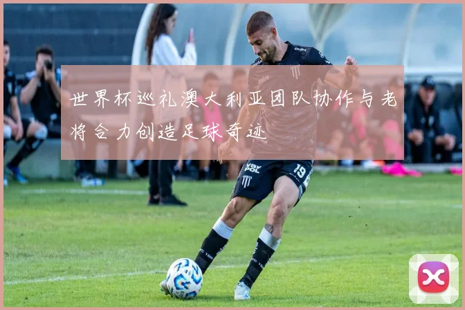 世界杯巡礼澳大利亚团队协作与老将合力创造足球奇迹